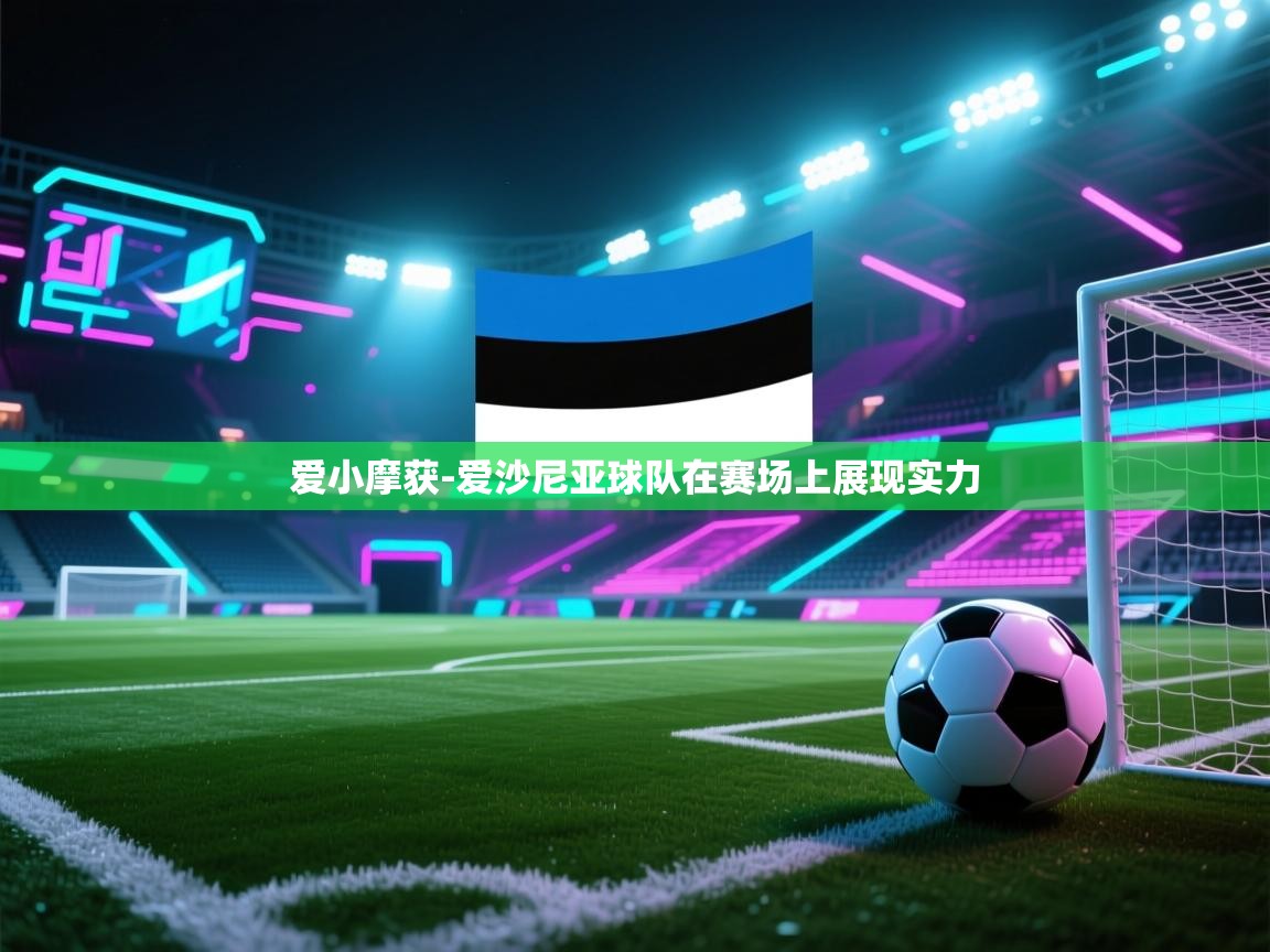 爱小摩获-爱沙尼亚球队在赛场上展现实力 第1张