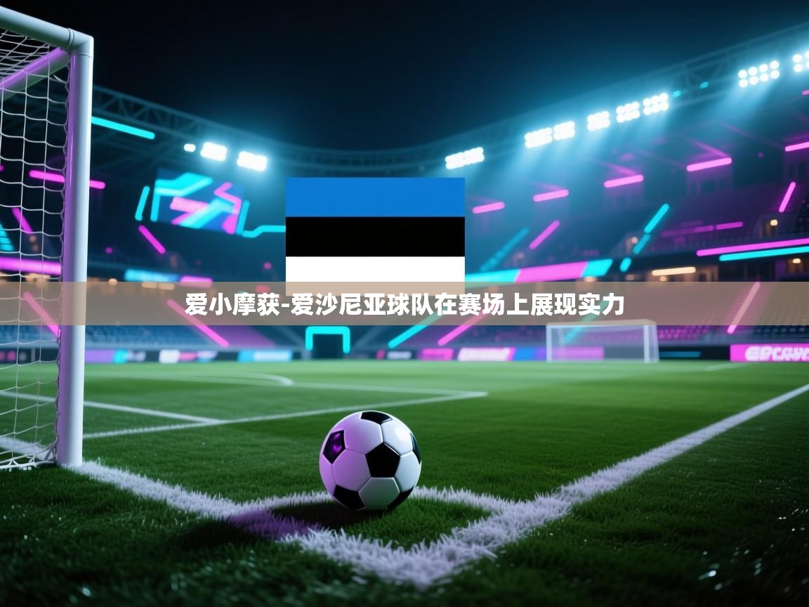 爱小摩获-爱沙尼亚球队在赛场上展现实力 第2张
