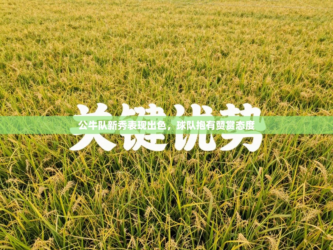 公牛队新秀表现出色，球队抱有赞赏态度  第1张