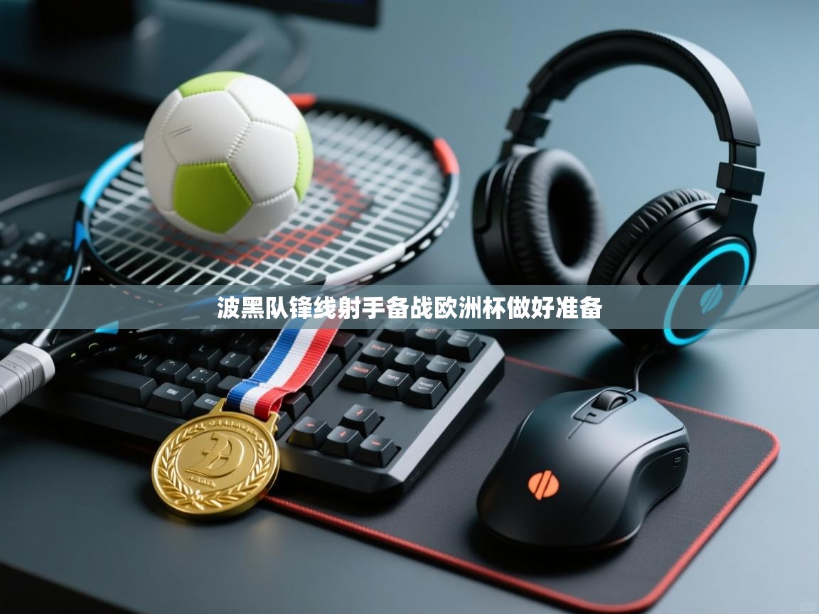 波黑队锋线射手备战欧洲杯做好准备 第1张