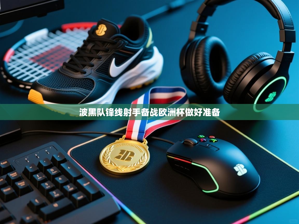 波黑队锋线射手备战欧洲杯做好准备 第2张